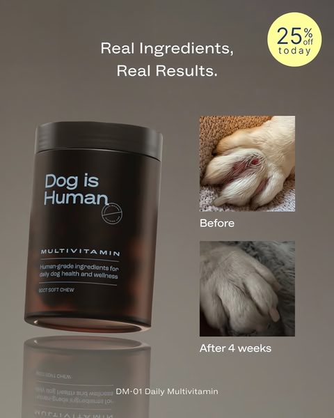 A high-contrast before-and-after comparison showing the physical impact of a pet daily multivitamin on a dog's paw health.